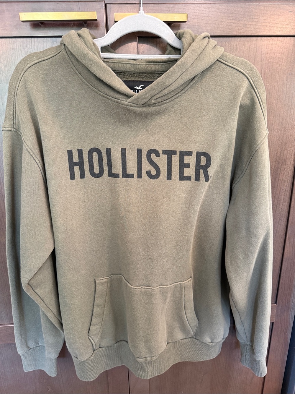 Hollister Olive Logo Pullover Hoodie